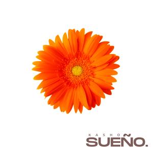 Sueño (Afro Remix)