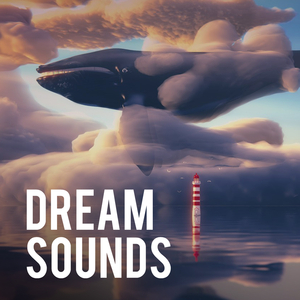 Rain Dreams (Original Mix)