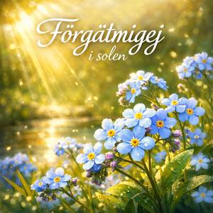 Förgätmigej i solen