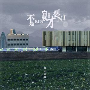 不是因为寂寞才想你 (新版)