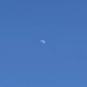 你快乐所以我快乐