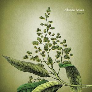 Entre la noche y el tiempo