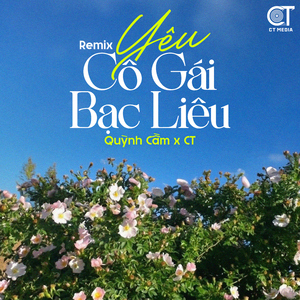Yêu Cô Gái Bạc Liêu (Remix)