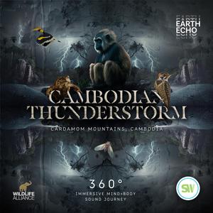 Cambodian Thunderstorm, Cardamom Mountains (360° Headset Experience)