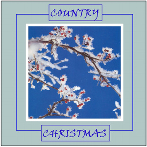 Mr. And Mrs. Santa Claus