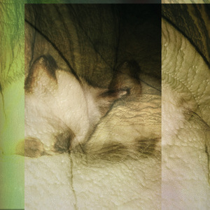 13/05/2024, 7:47 p.m. (Demo)