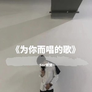 为你而唱的歌