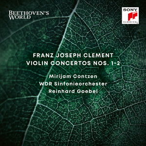 Violin Concerto No. 2 in D Minor:I. Moderato