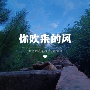 你吹来的风