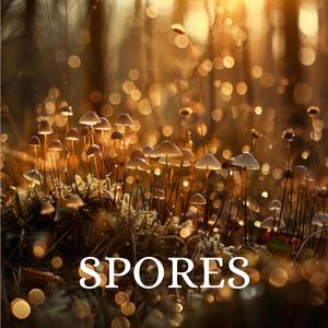 Spores