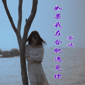 如果我在合肥遇见你