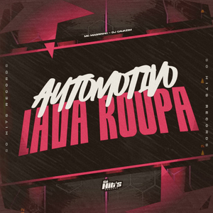 Automotivo Lava Roupa