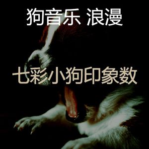 诗意的小狗节奏