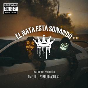 EL NATA ESTA SONANDO