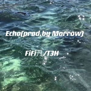 Echo