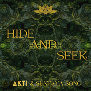 Hide and Seek