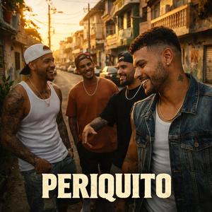 Periquito