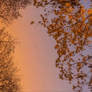 Com'on Summer (Pure Music Mix)