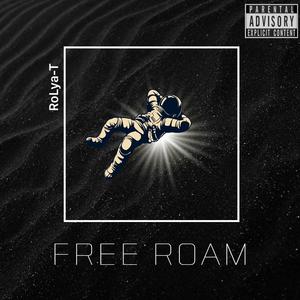 Free Roam