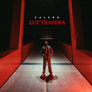 Luz Trasera