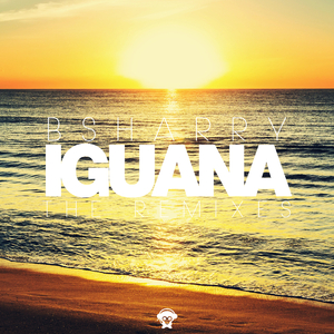 Iguana (Nicolas De Andra Remix)
