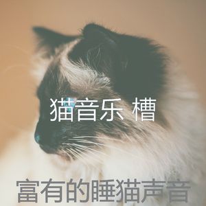 微妙的小猫心情