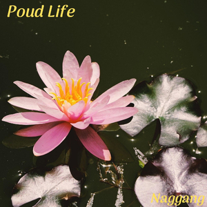 Poud Life