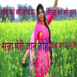 घीहूं को सो लोथोड़ा सिरसू को सो फूल सन्ना मेरी जान तोहे केसे जाऊं भूल