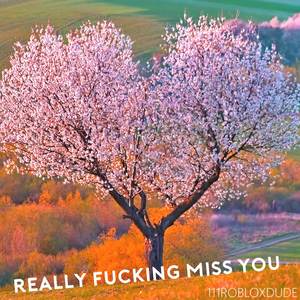 Really ****ing Miss You