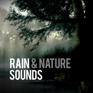 Mashine Noise (Loopable) (Original Mix)