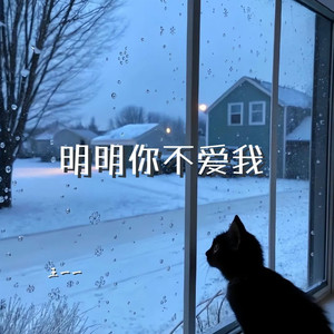 明明你不爱我