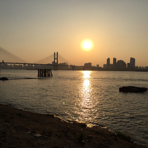 有关于长江的桥