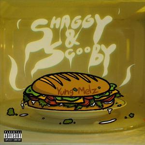 s h a g g y & s c o o b y