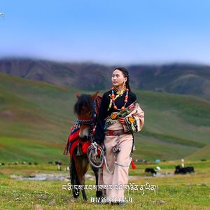 索南代吉  【康巴青年】