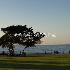 我终究等不到你的回应