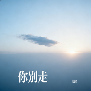 你别走