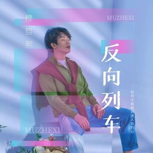 反向列车DJ (伴奏)