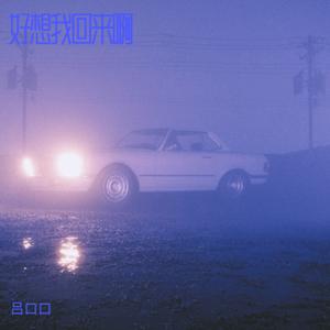 好想我回来啊 (伴奏)