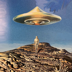 The Visitor