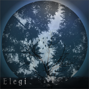 Elegi