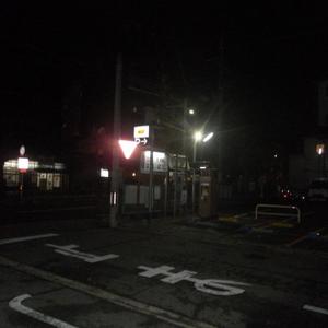 左转灯（女声版）