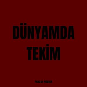 Dünyamda Tekim