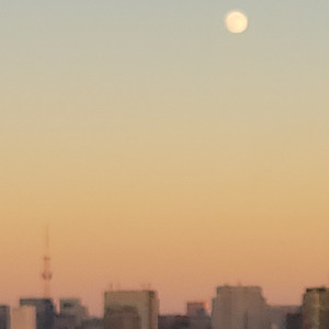 究極の安らぎ-Pure