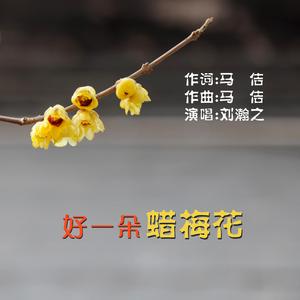 好一朵腊梅花