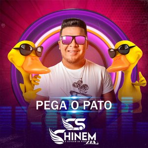 Piseiro Hit