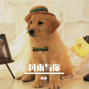 风雨与你
