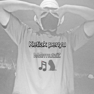 Ketiak penyu