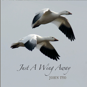 Love Affair in a Minor Key