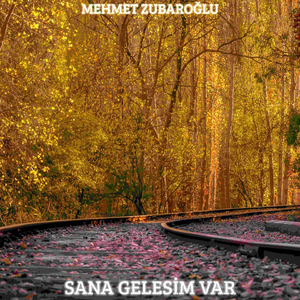 Sana Gelesim Var