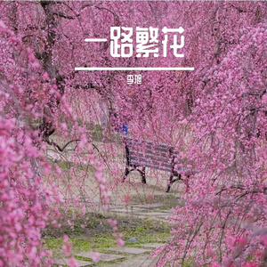 一路繁花（加速124）